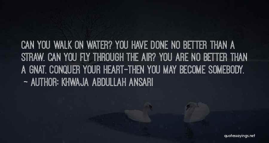 Khwaja Abdullah Ansari Quotes: Can You Walk On Water? You Have Done No Better Than A Straw. Can You Fly Through The Air? You