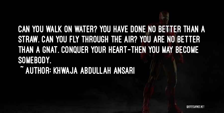 Khwaja Abdullah Ansari Quotes: Can You Walk On Water? You Have Done No Better Than A Straw. Can You Fly Through The Air? You