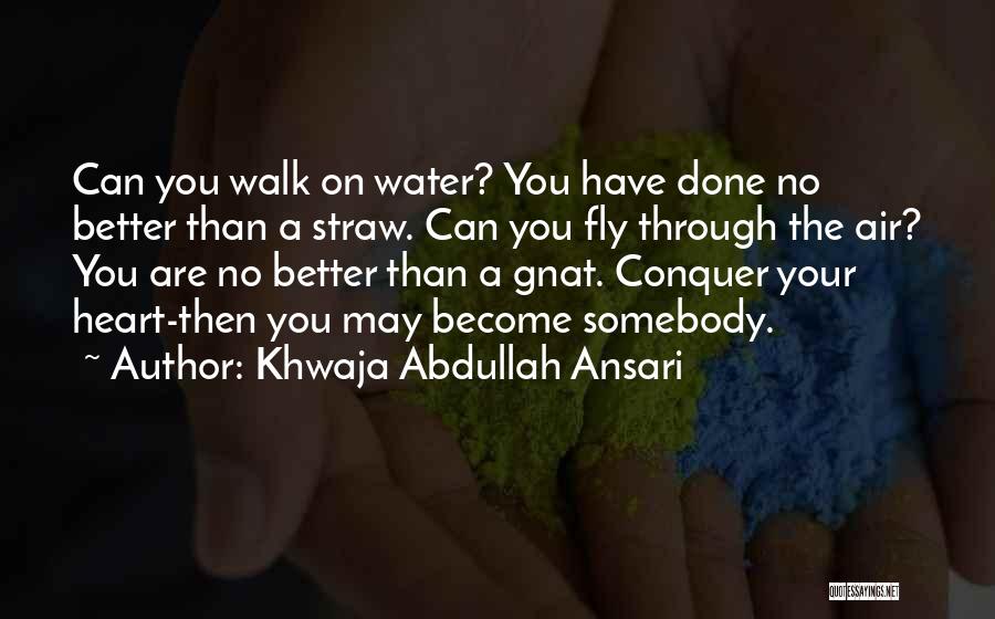 Khwaja Abdullah Ansari Quotes: Can You Walk On Water? You Have Done No Better Than A Straw. Can You Fly Through The Air? You