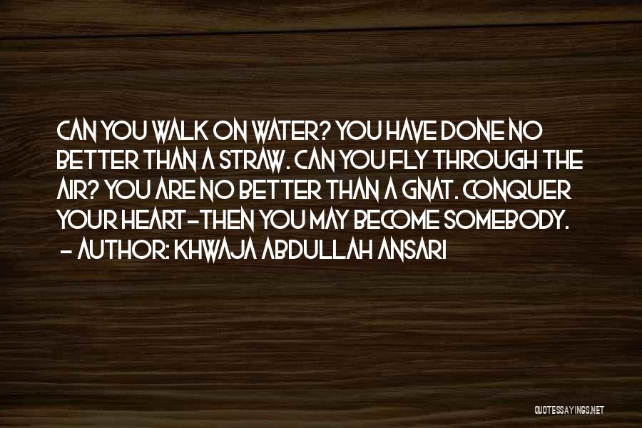 Khwaja Abdullah Ansari Quotes: Can You Walk On Water? You Have Done No Better Than A Straw. Can You Fly Through The Air? You