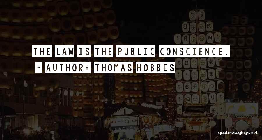 Thomas Hobbes Quotes: The Law Is The Public Conscience.