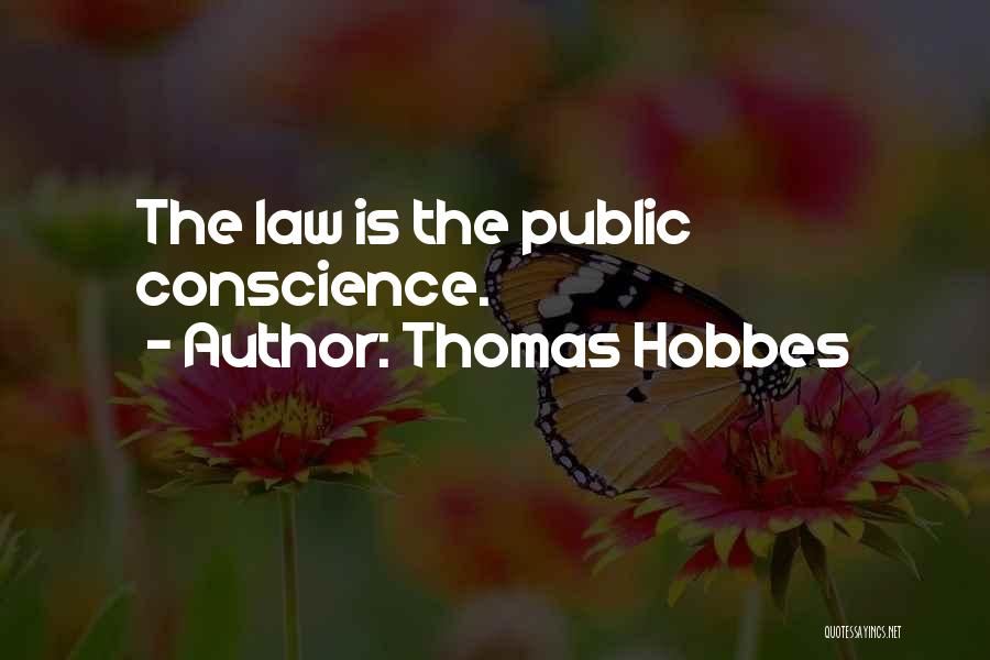 Thomas Hobbes Quotes: The Law Is The Public Conscience.