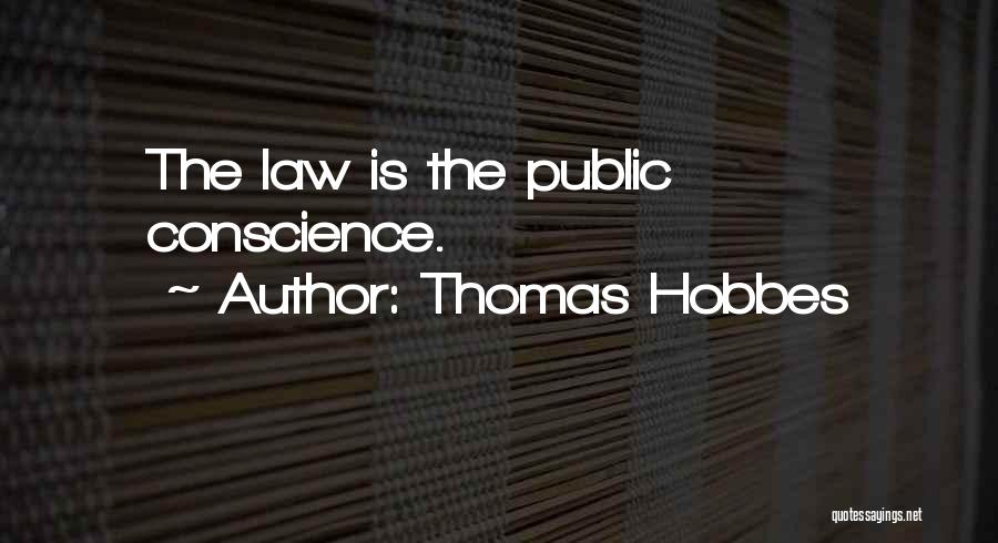 Thomas Hobbes Quotes: The Law Is The Public Conscience.