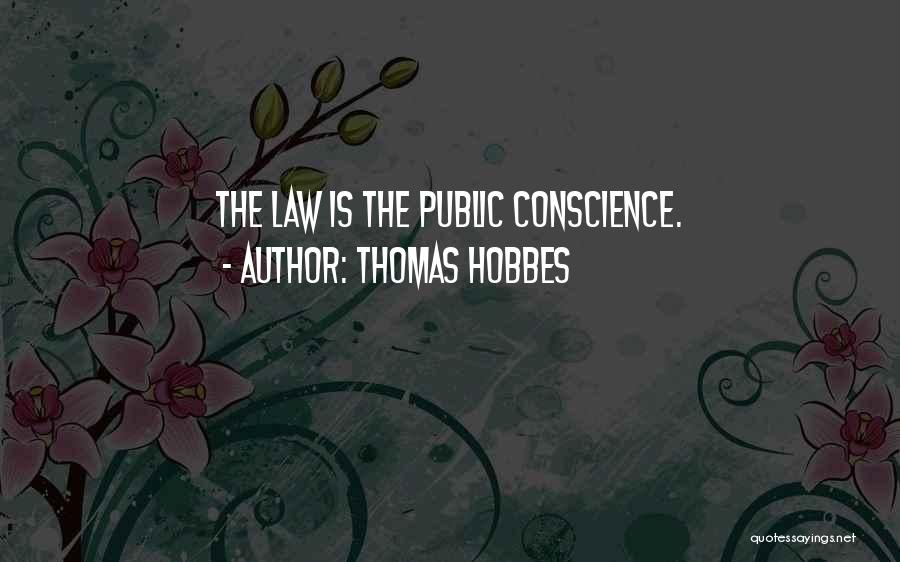 Thomas Hobbes Quotes: The Law Is The Public Conscience.