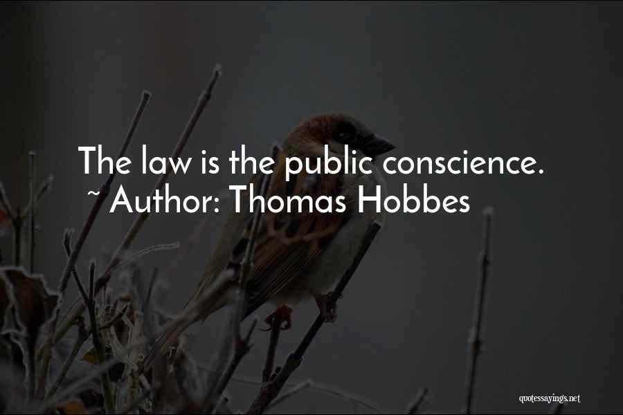 Thomas Hobbes Quotes: The Law Is The Public Conscience.