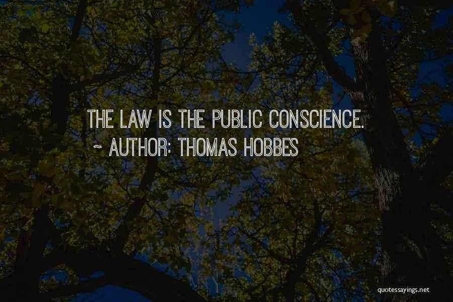 Thomas Hobbes Quotes: The Law Is The Public Conscience.