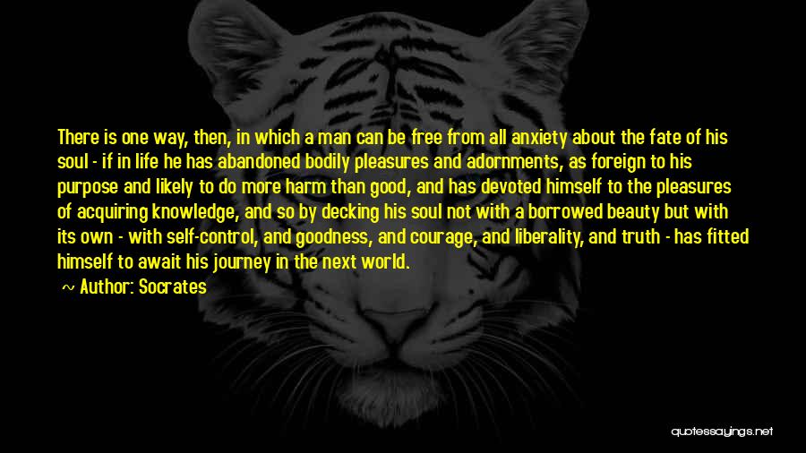 Socrates Quotes: There Is One Way, Then, In Which A Man Can Be Free From All Anxiety About The Fate Of His