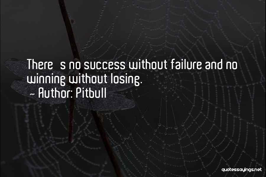 Pitbull Quotes: There's No Success Without Failure And No Winning Without Losing.