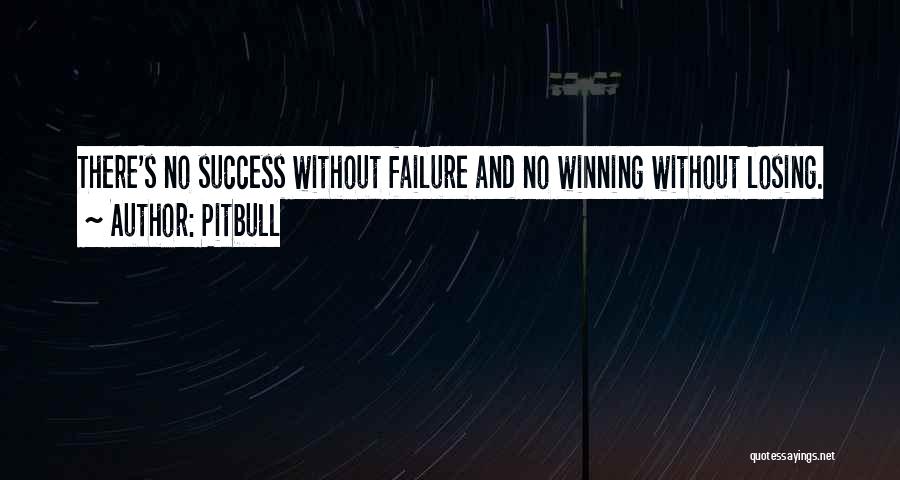 Pitbull Quotes: There's No Success Without Failure And No Winning Without Losing.