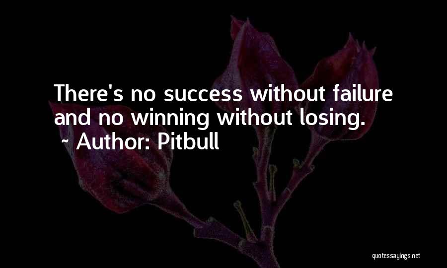 Pitbull Quotes: There's No Success Without Failure And No Winning Without Losing.