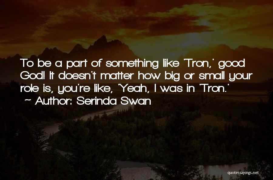 Serinda Swan Quotes: To Be A Part Of Something Like 'tron,' Good God! It Doesn't Matter How Big Or Small Your Role Is,