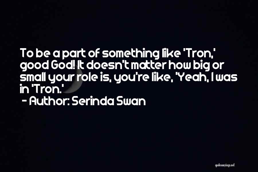 Serinda Swan Quotes: To Be A Part Of Something Like 'tron,' Good God! It Doesn't Matter How Big Or Small Your Role Is,