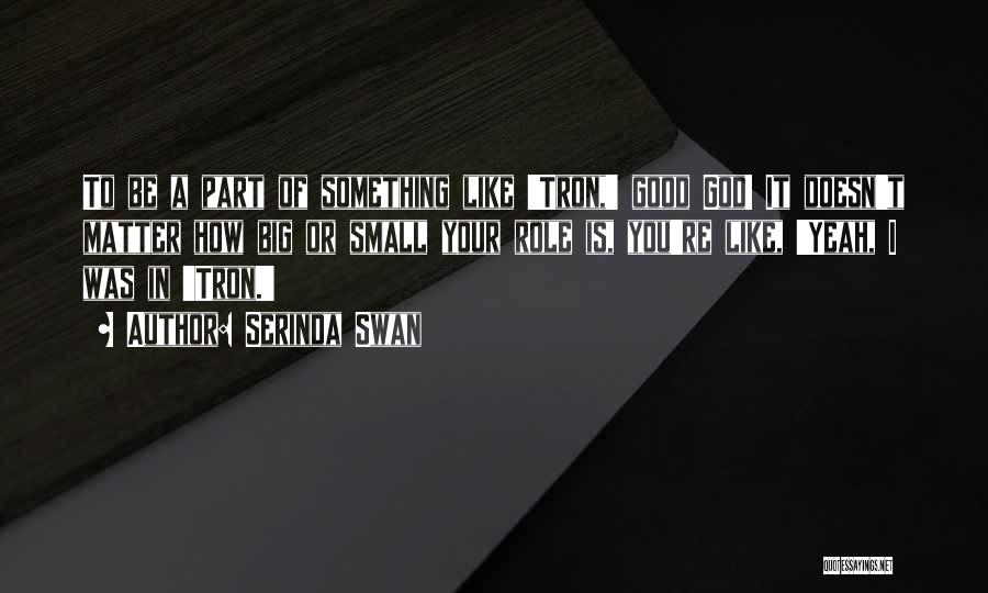 Serinda Swan Quotes: To Be A Part Of Something Like 'tron,' Good God! It Doesn't Matter How Big Or Small Your Role Is,