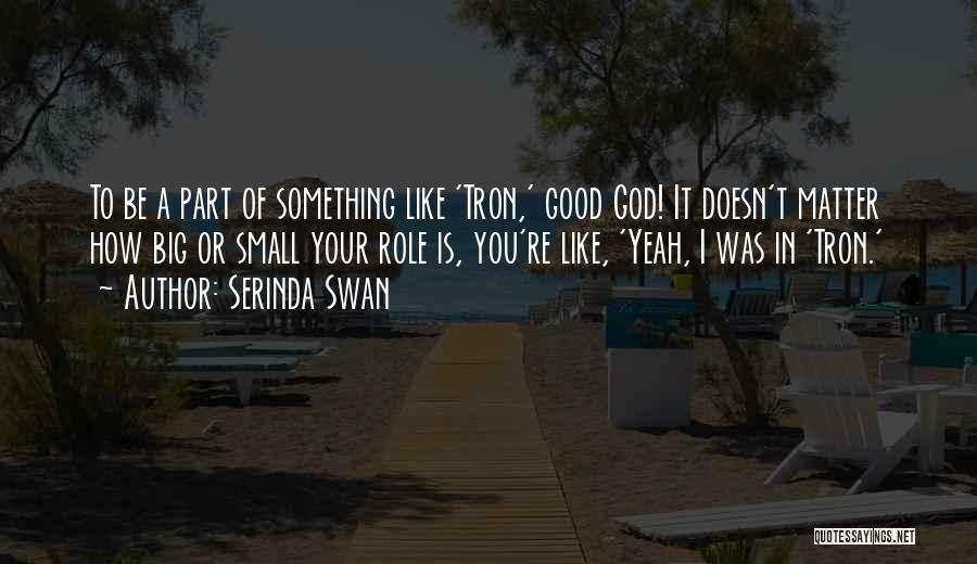 Serinda Swan Quotes: To Be A Part Of Something Like 'tron,' Good God! It Doesn't Matter How Big Or Small Your Role Is,