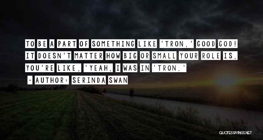 Serinda Swan Quotes: To Be A Part Of Something Like 'tron,' Good God! It Doesn't Matter How Big Or Small Your Role Is,