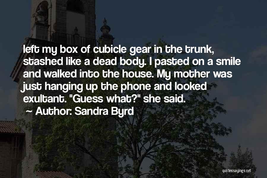 Sandra Byrd Quotes: Left My Box Of Cubicle Gear In The Trunk, Stashed Like A Dead Body. I Pasted On A Smile And