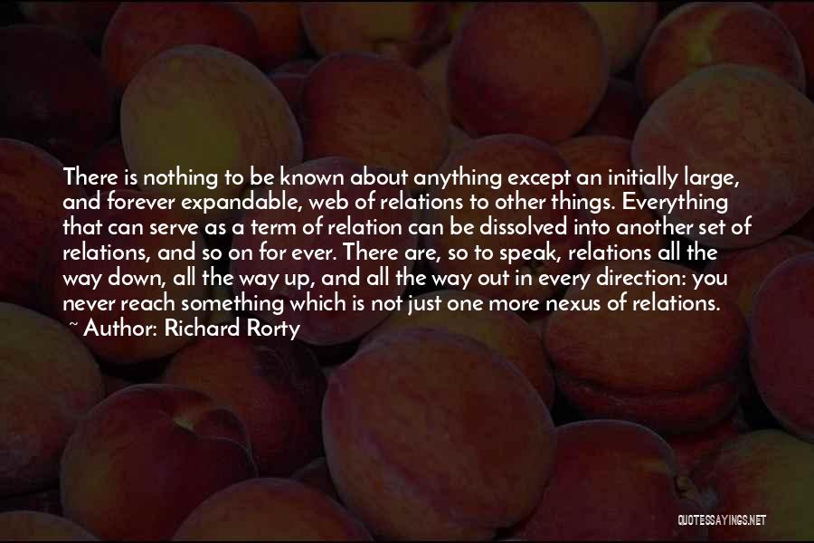 Richard Rorty Quotes: There Is Nothing To Be Known About Anything Except An Initially Large, And Forever Expandable, Web Of Relations To Other