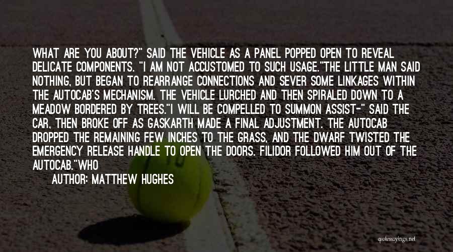 Matthew Hughes Quotes: What Are You About? Said The Vehicle As A Panel Popped Open To Reveal Delicate Components. I Am Not Accustomed