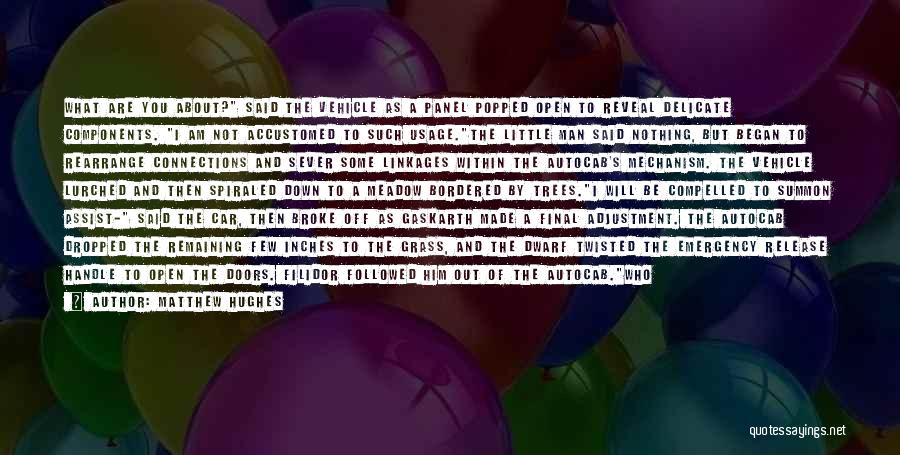 Matthew Hughes Quotes: What Are You About? Said The Vehicle As A Panel Popped Open To Reveal Delicate Components. I Am Not Accustomed