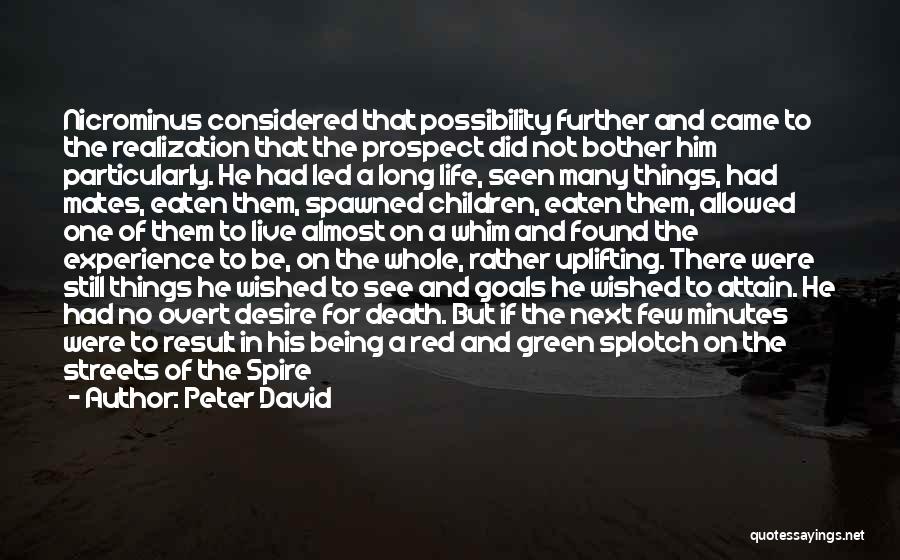 Peter David Quotes: Nicrominus Considered That Possibility Further And Came To The Realization That The Prospect Did Not Bother Him Particularly. He Had