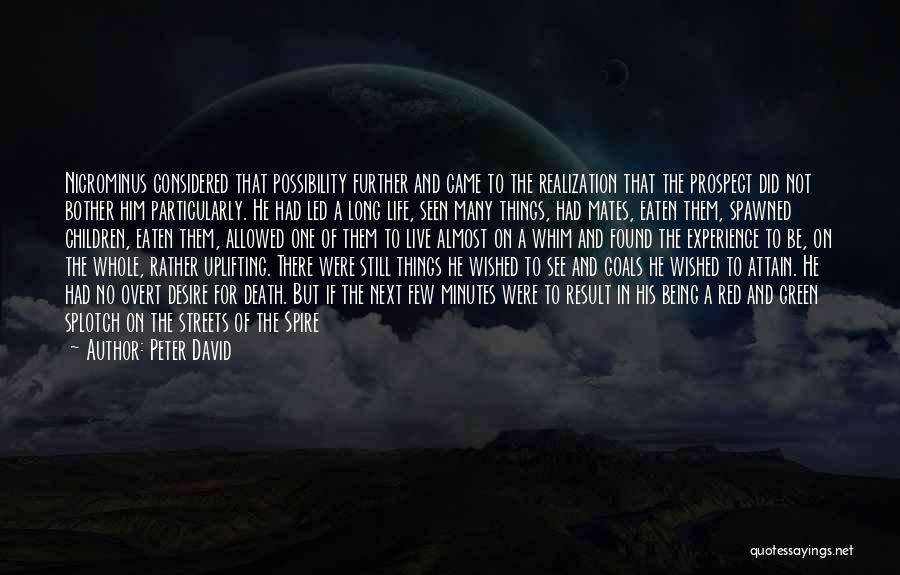 Peter David Quotes: Nicrominus Considered That Possibility Further And Came To The Realization That The Prospect Did Not Bother Him Particularly. He Had