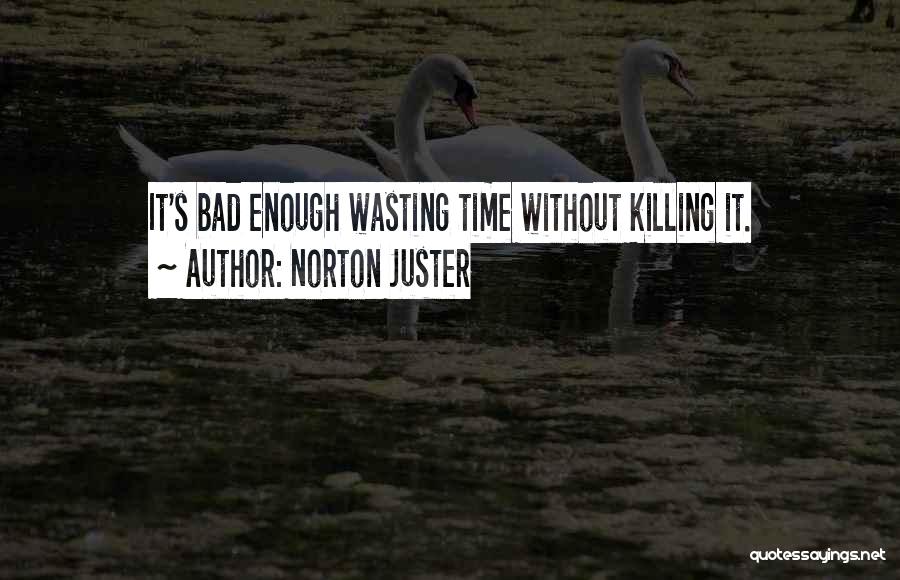 Norton Juster Quotes: It's Bad Enough Wasting Time Without Killing It.