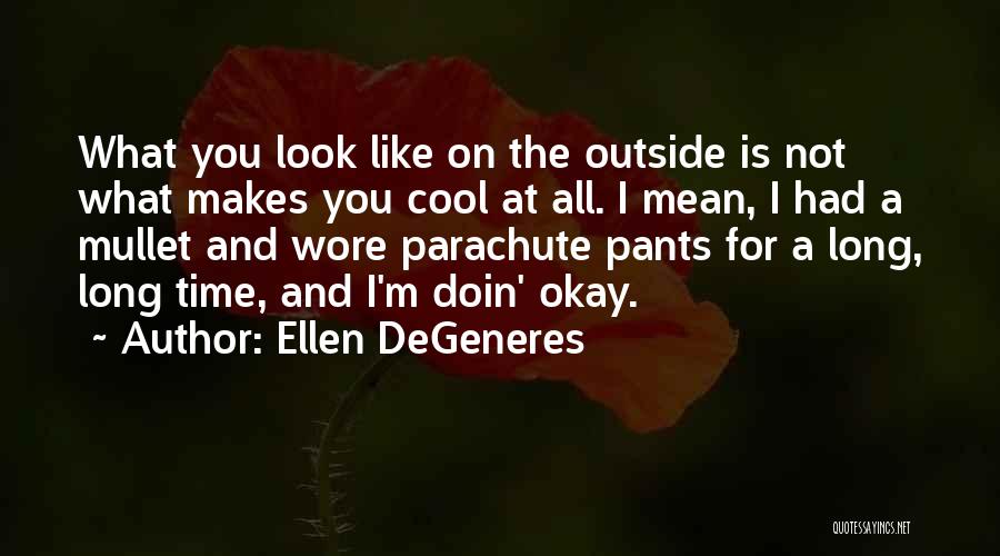 Ellen DeGeneres Quotes: What You Look Like On The Outside Is Not What Makes You Cool At All. I Mean, I Had A