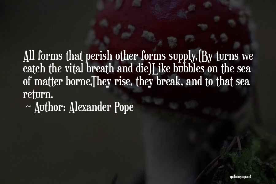 Alexander Pope Quotes: All Forms That Perish Other Forms Supply,(by Turns We Catch The Vital Breath And Die)like Bubbles On The Sea Of