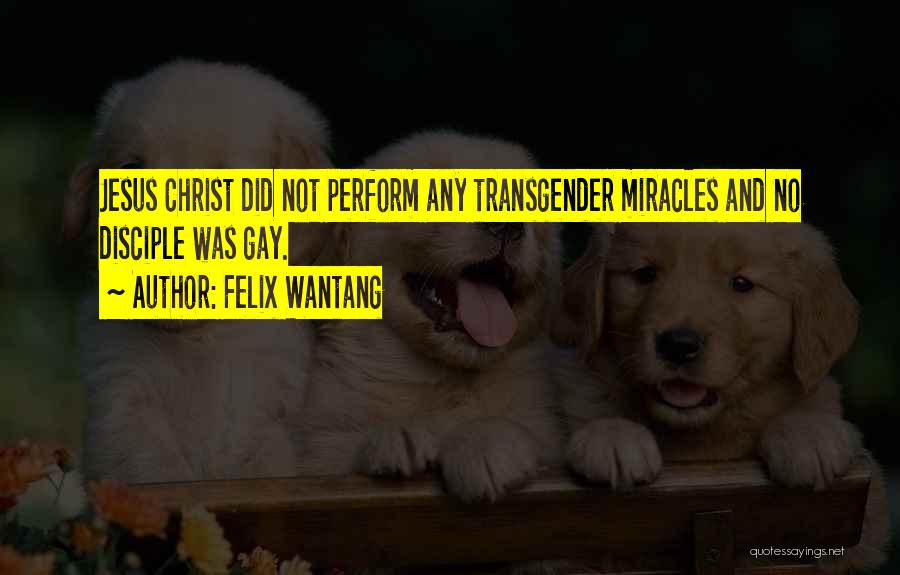 Felix Wantang Quotes: Jesus Christ Did Not Perform Any Transgender Miracles And No Disciple Was Gay.