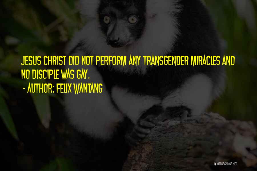Felix Wantang Quotes: Jesus Christ Did Not Perform Any Transgender Miracles And No Disciple Was Gay.