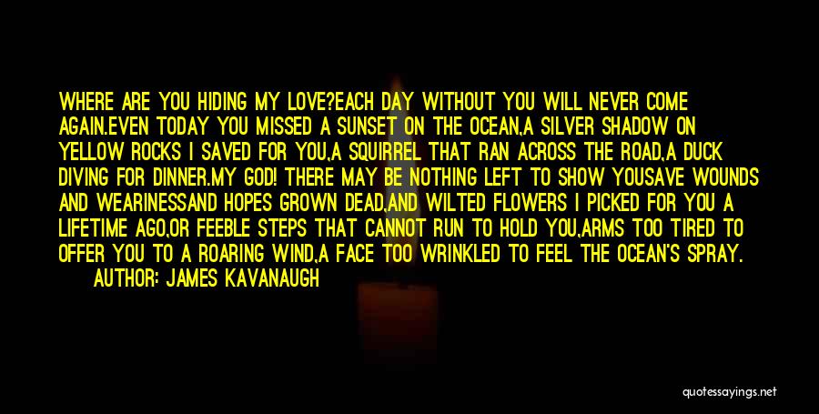 James Kavanaugh Quotes: Where Are You Hiding My Love?each Day Without You Will Never Come Again.even Today You Missed A Sunset On The