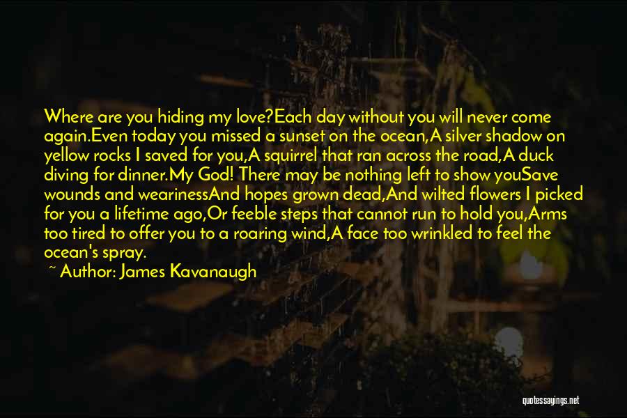 James Kavanaugh Quotes: Where Are You Hiding My Love?each Day Without You Will Never Come Again.even Today You Missed A Sunset On The