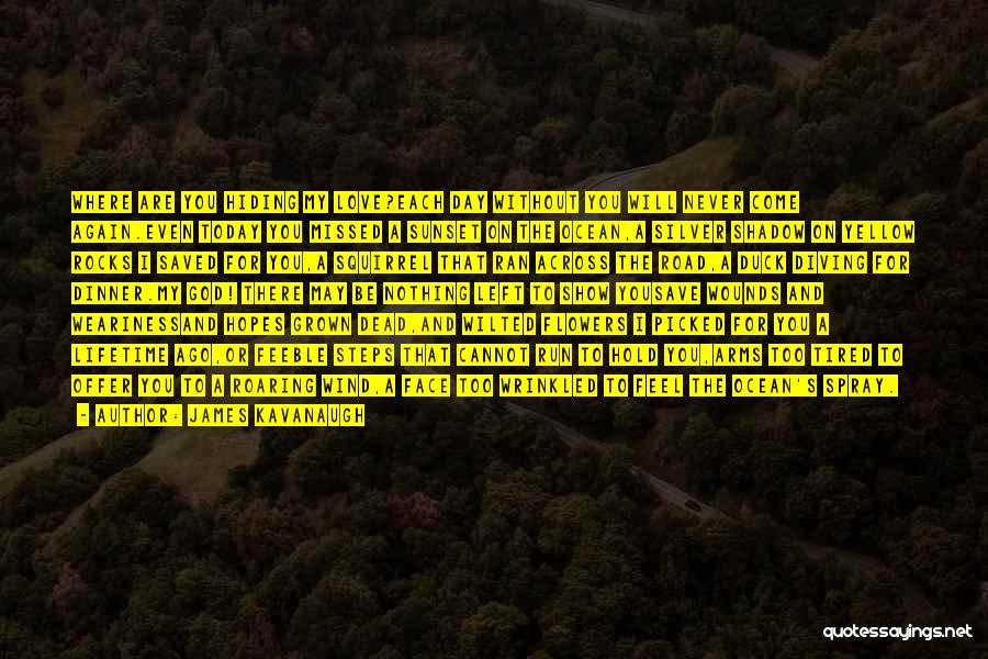 James Kavanaugh Quotes: Where Are You Hiding My Love?each Day Without You Will Never Come Again.even Today You Missed A Sunset On The