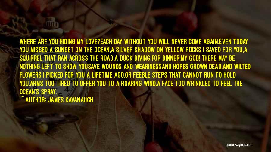 James Kavanaugh Quotes: Where Are You Hiding My Love?each Day Without You Will Never Come Again.even Today You Missed A Sunset On The