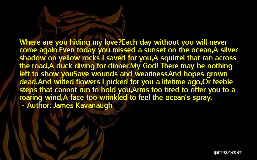 James Kavanaugh Quotes: Where Are You Hiding My Love?each Day Without You Will Never Come Again.even Today You Missed A Sunset On The