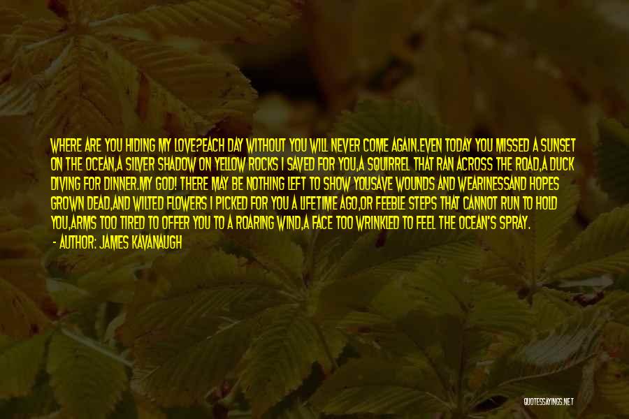 James Kavanaugh Quotes: Where Are You Hiding My Love?each Day Without You Will Never Come Again.even Today You Missed A Sunset On The