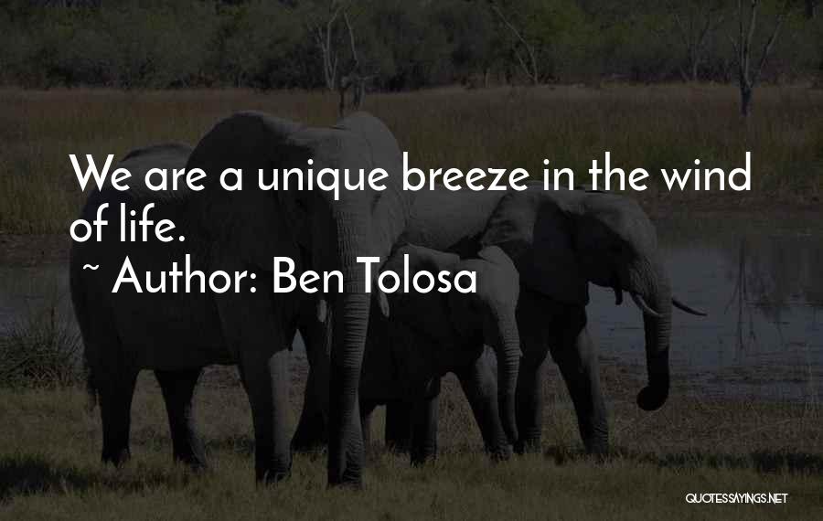 Ben Tolosa Quotes: We Are A Unique Breeze In The Wind Of Life.