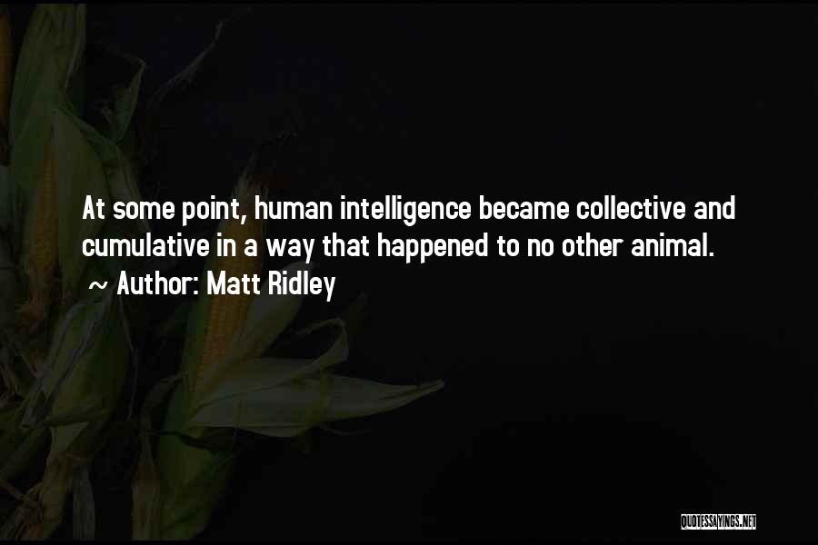 Matt Ridley Quotes: At Some Point, Human Intelligence Became Collective And Cumulative In A Way That Happened To No Other Animal.