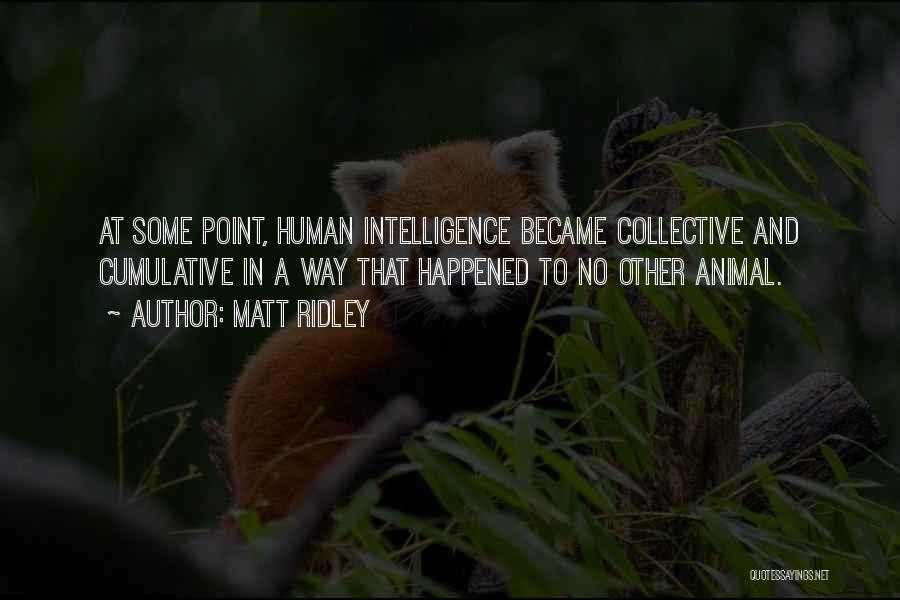 Matt Ridley Quotes: At Some Point, Human Intelligence Became Collective And Cumulative In A Way That Happened To No Other Animal.