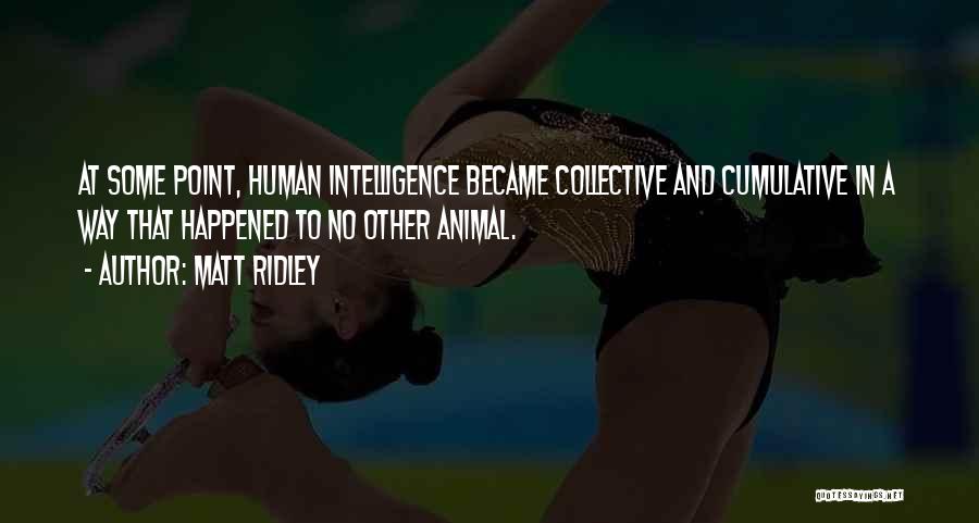 Matt Ridley Quotes: At Some Point, Human Intelligence Became Collective And Cumulative In A Way That Happened To No Other Animal.