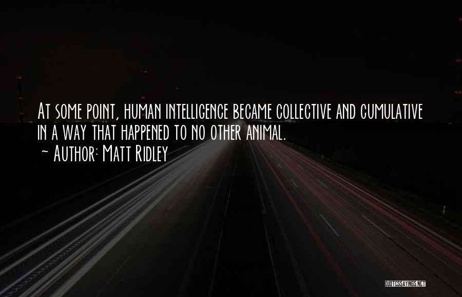 Matt Ridley Quotes: At Some Point, Human Intelligence Became Collective And Cumulative In A Way That Happened To No Other Animal.