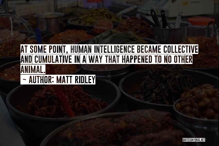 Matt Ridley Quotes: At Some Point, Human Intelligence Became Collective And Cumulative In A Way That Happened To No Other Animal.
