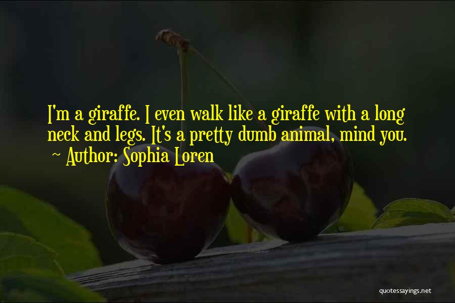 Sophia Loren Quotes: I'm A Giraffe. I Even Walk Like A Giraffe With A Long Neck And Legs. It's A Pretty Dumb Animal,