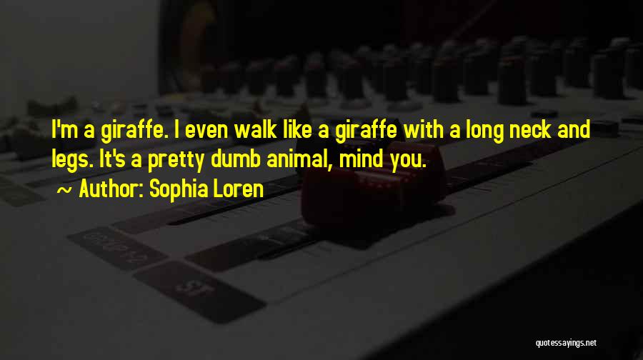 Sophia Loren Quotes: I'm A Giraffe. I Even Walk Like A Giraffe With A Long Neck And Legs. It's A Pretty Dumb Animal,