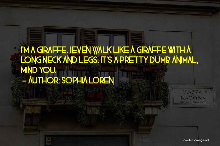 Sophia Loren Quotes: I'm A Giraffe. I Even Walk Like A Giraffe With A Long Neck And Legs. It's A Pretty Dumb Animal,