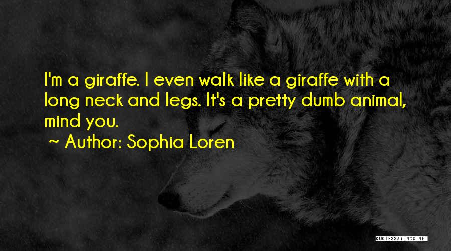 Sophia Loren Quotes: I'm A Giraffe. I Even Walk Like A Giraffe With A Long Neck And Legs. It's A Pretty Dumb Animal,