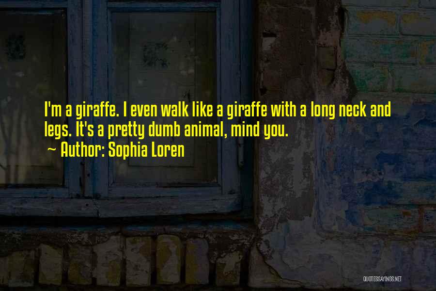 Sophia Loren Quotes: I'm A Giraffe. I Even Walk Like A Giraffe With A Long Neck And Legs. It's A Pretty Dumb Animal,