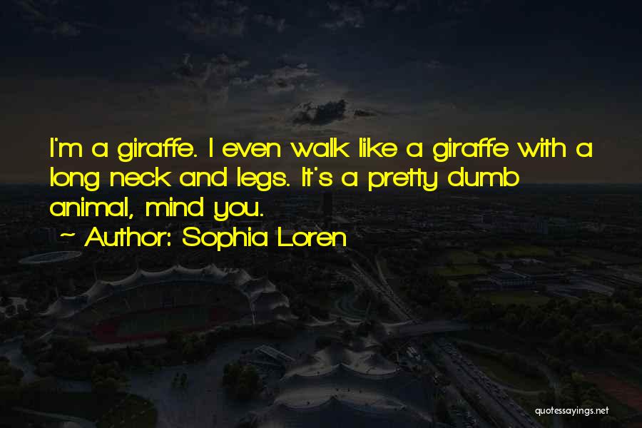 Sophia Loren Quotes: I'm A Giraffe. I Even Walk Like A Giraffe With A Long Neck And Legs. It's A Pretty Dumb Animal,