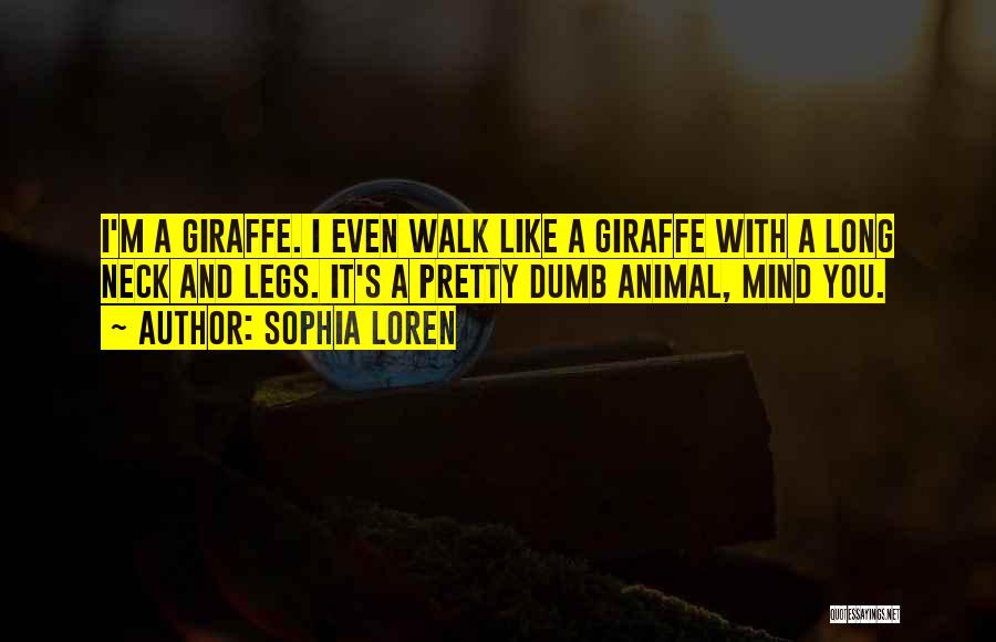 Sophia Loren Quotes: I'm A Giraffe. I Even Walk Like A Giraffe With A Long Neck And Legs. It's A Pretty Dumb Animal,