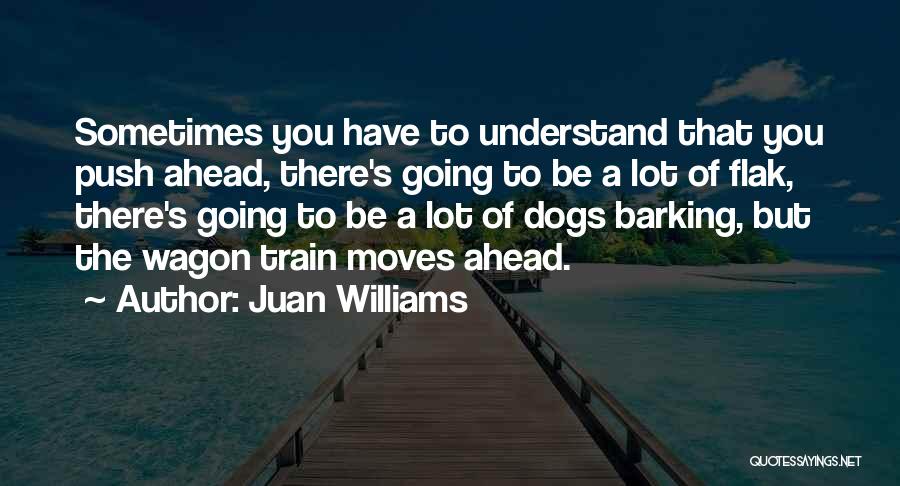 Juan Williams Quotes: Sometimes You Have To Understand That You Push Ahead, There's Going To Be A Lot Of Flak, There's Going To